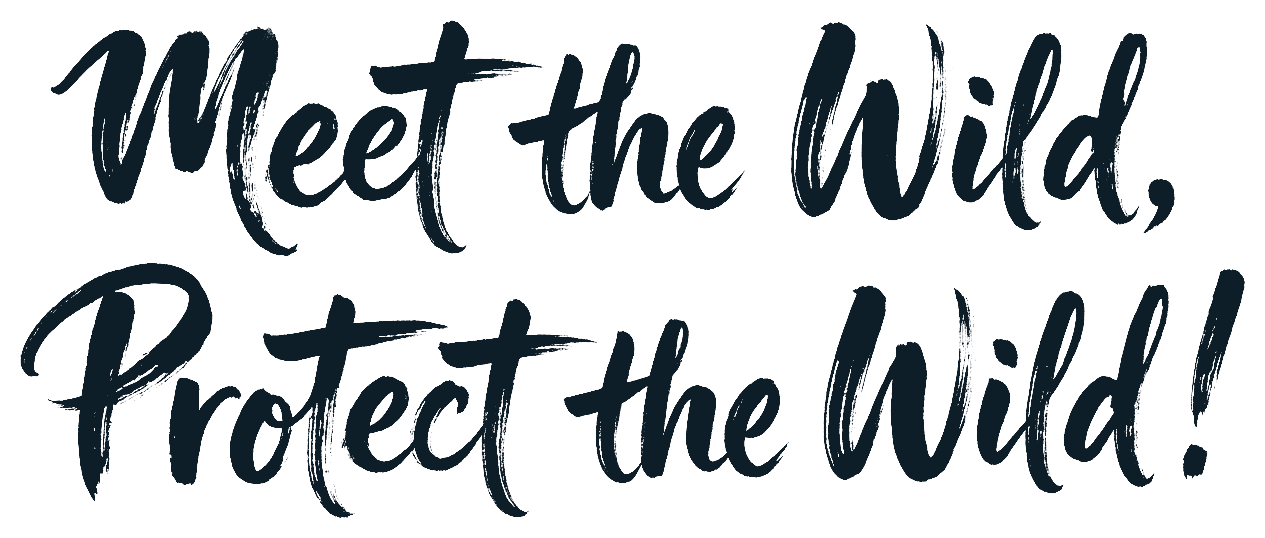 Meet the Wild, Protect the Wild! Calligraphy